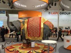 Lapp Elephant